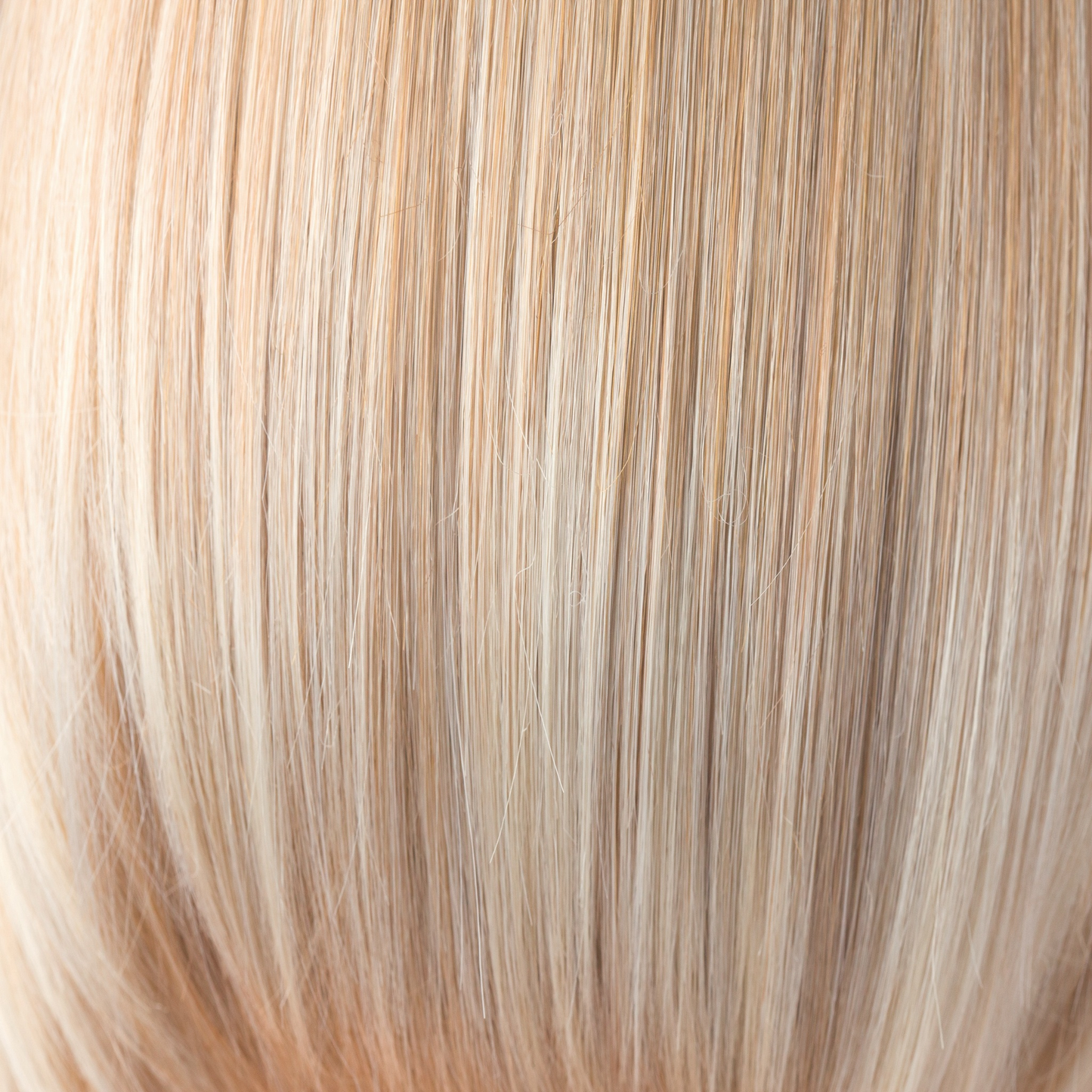 Medium TP Mono Wig - 751 Amore Collection