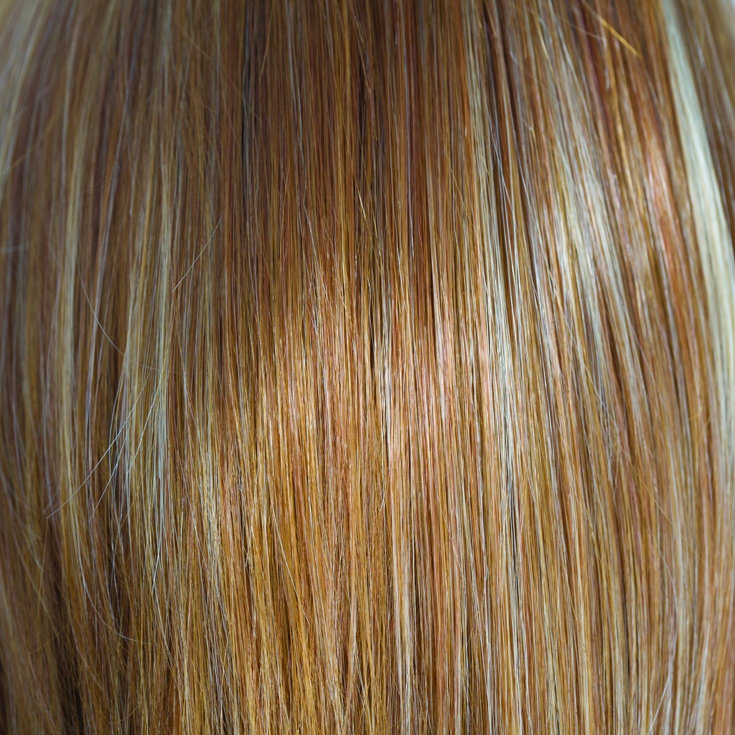 Codi Wig - 2543   Amore Collection