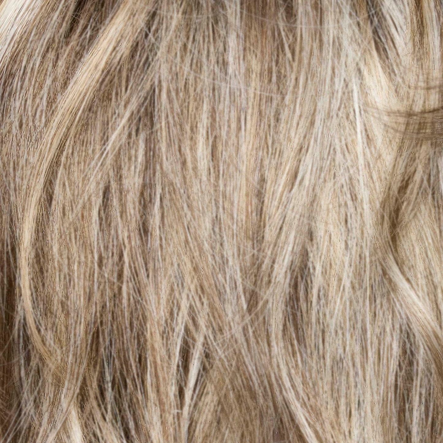 Beau Wig - 1727   Noriko Collection