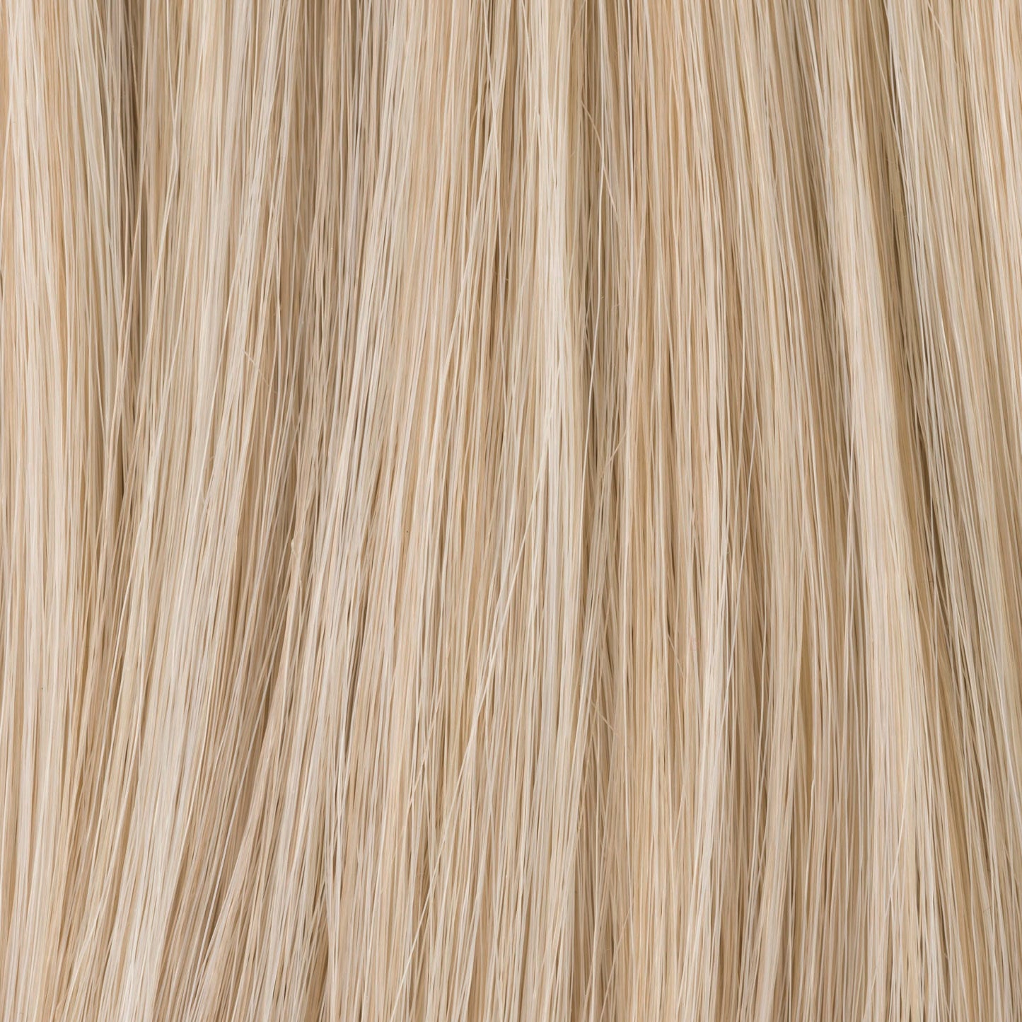 LIGHT CHAMPAGNE MIX 23.25.16 | Lightest Pale Blonde, Lightest Golden Blonde, and Medium Blonde Blend 