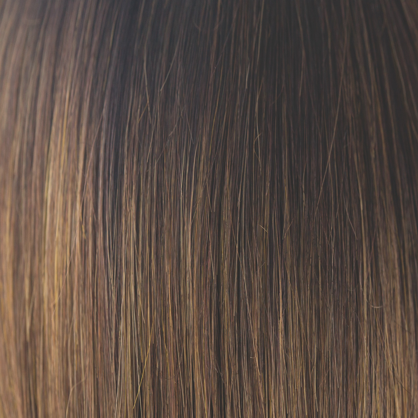Terra Wig - 2592   Amore Collection