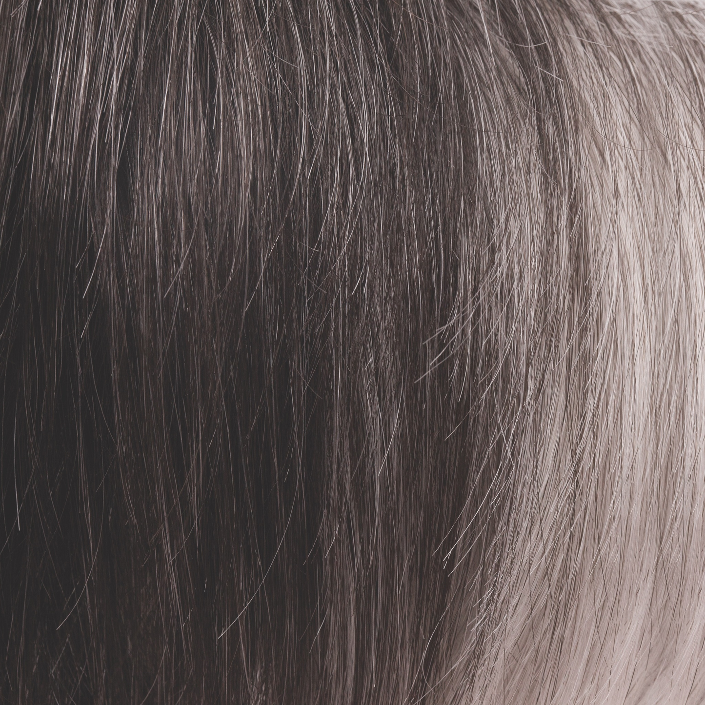 Zoe Wig - 2349   ROP Hi Fashion Collection
