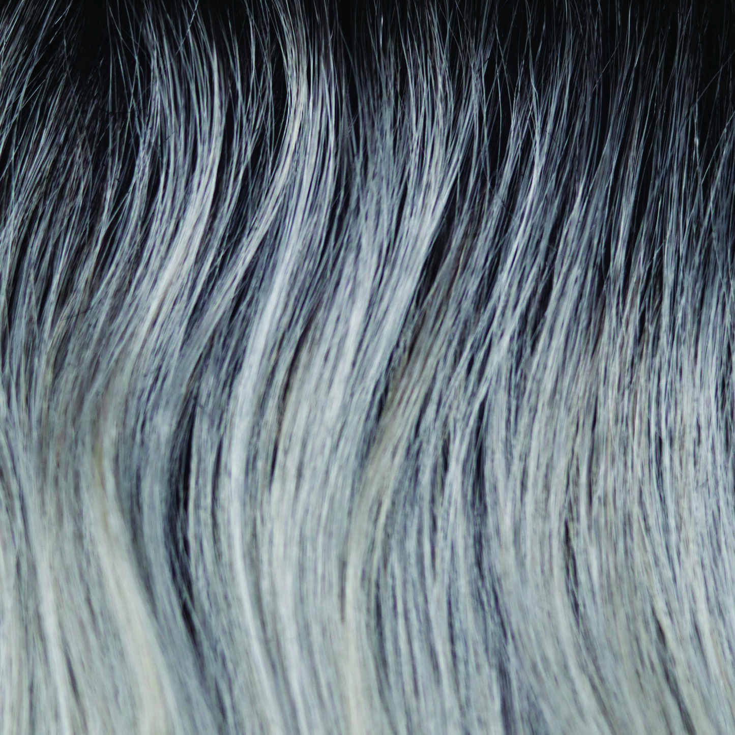 Alva Wig - 1715   Noriko Collection