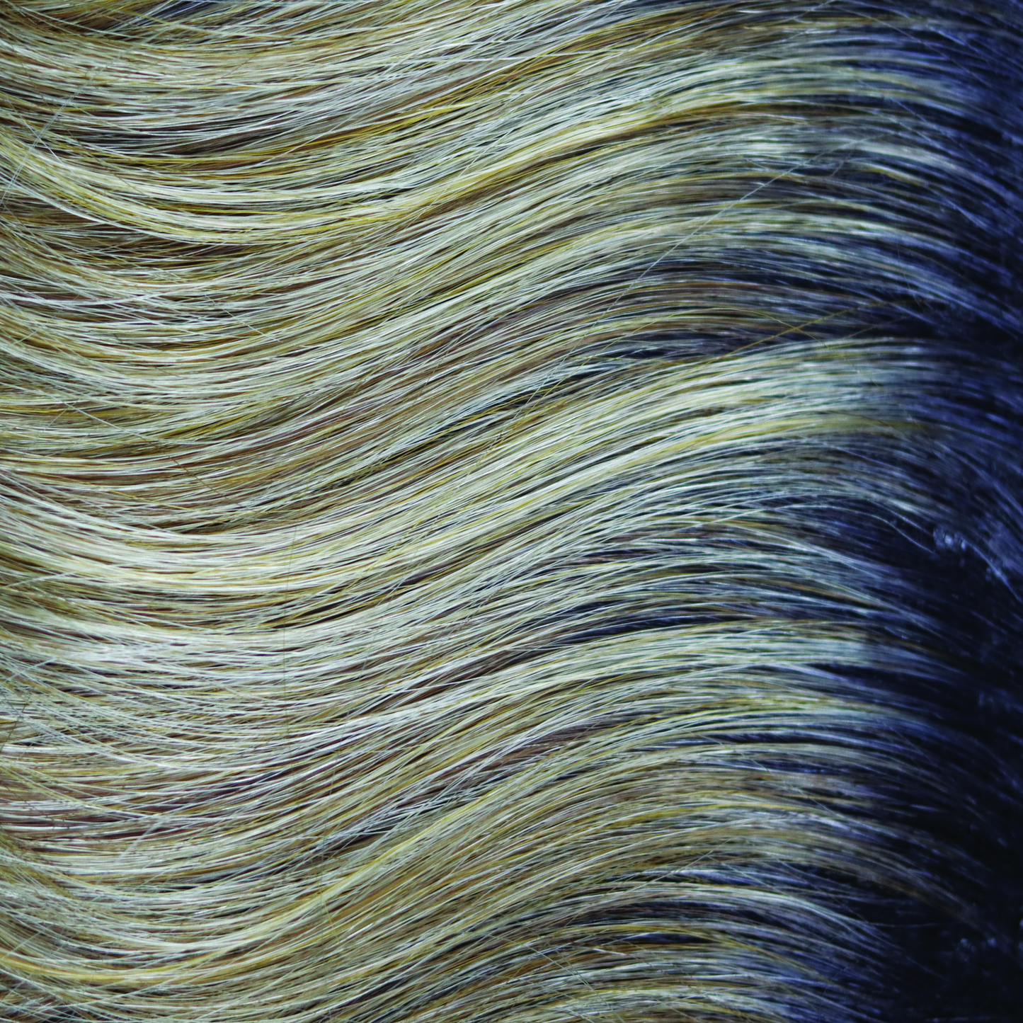 Jodie Wig - 6540   The Orchid Collection