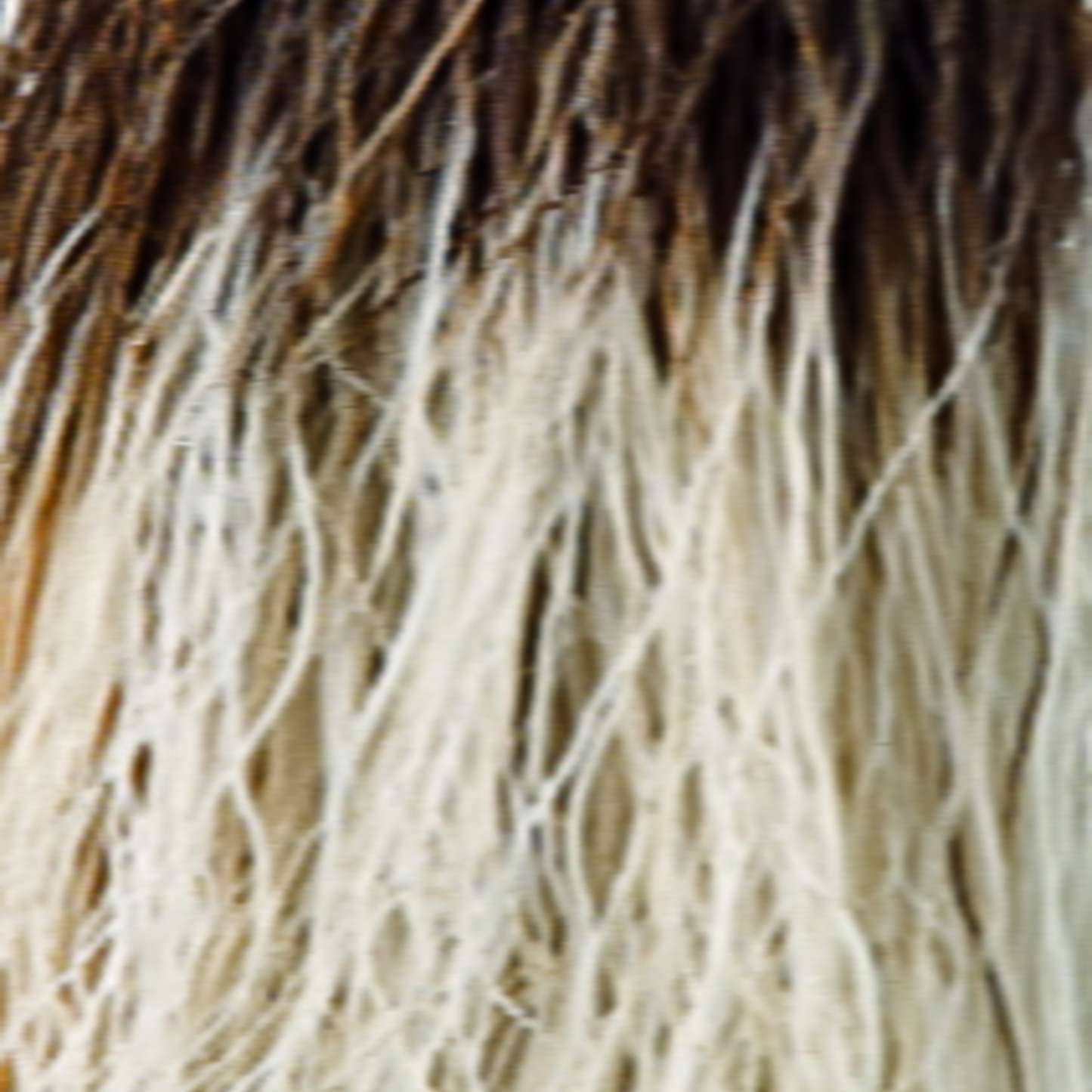 Mason Wig - 1632   Noriko Collection
