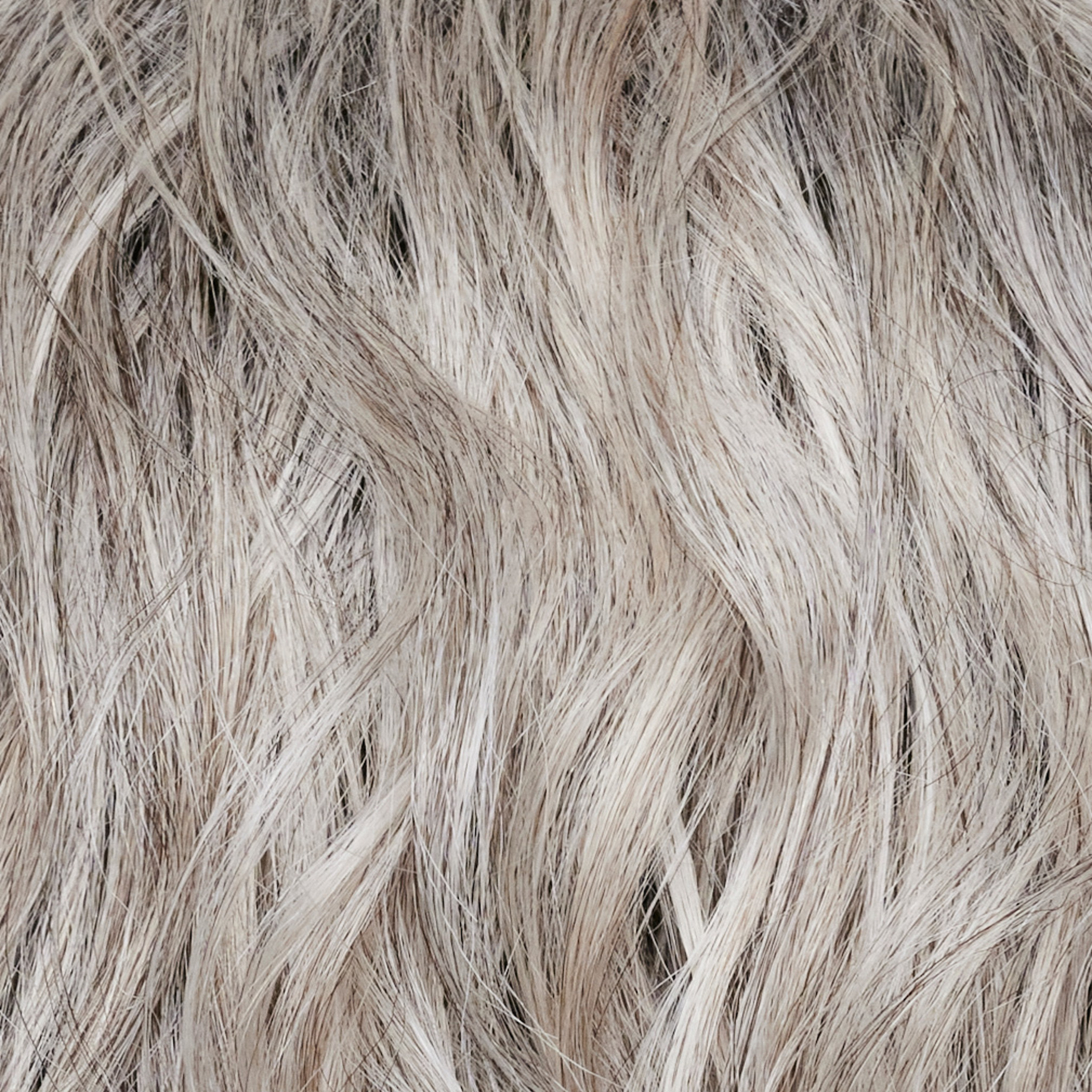 Leoni Wig - 1039   Alexander Couture Collection