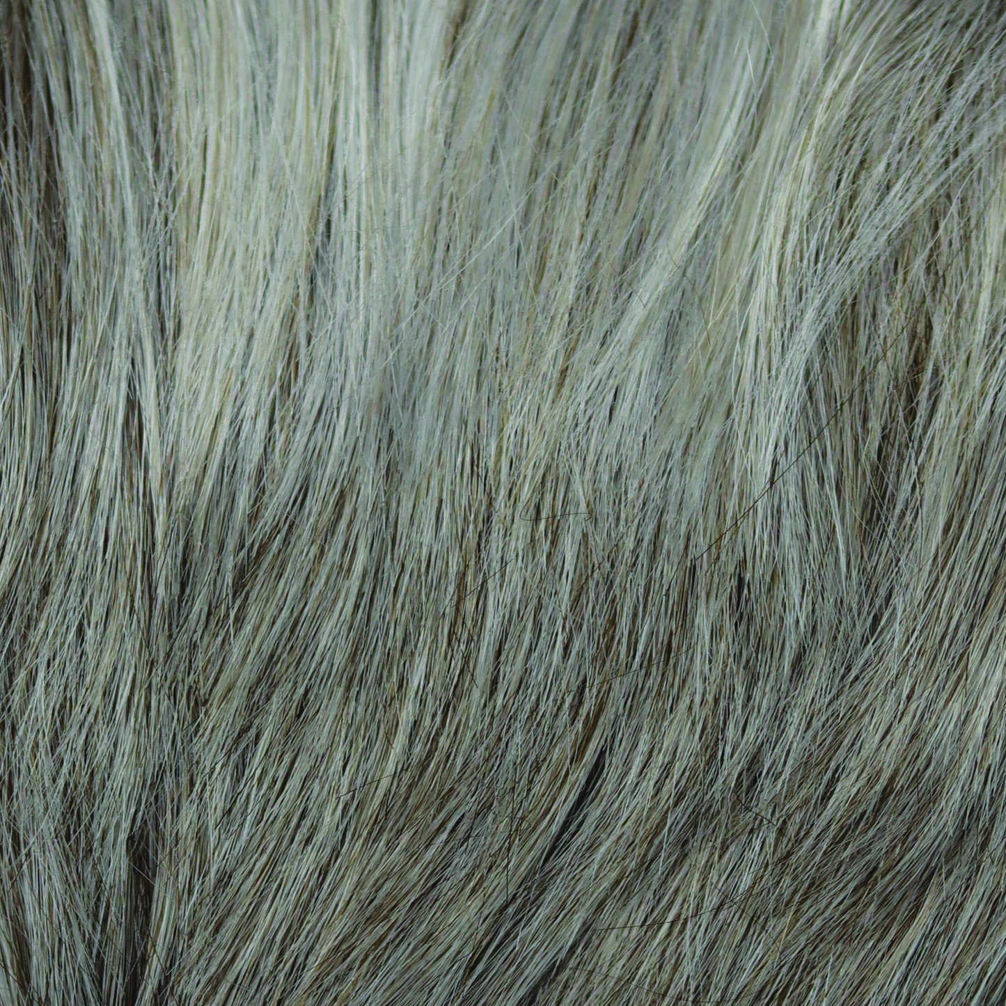 Leoni Wig - 1039   Alexander Couture Collection