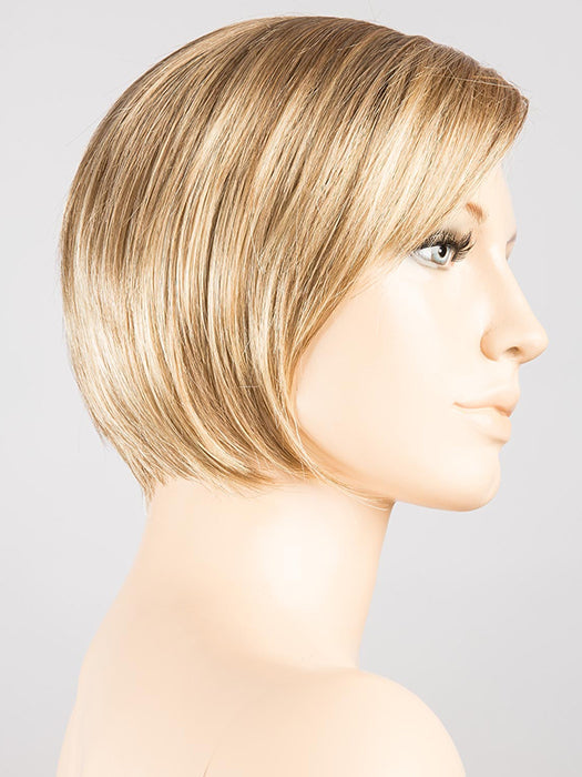CARAMEL MIX 20.14.22 | Dark Honey Blonde, Lightest Brown, and Medium Gold Blonde blend